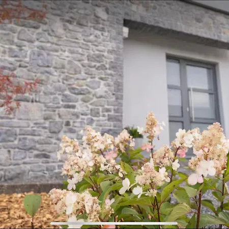 Сasa de vacaciones La Maison Du Gouty Froid-Chapelle